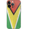 Guyana Flag Distressed iPhone 14 Pro Skin